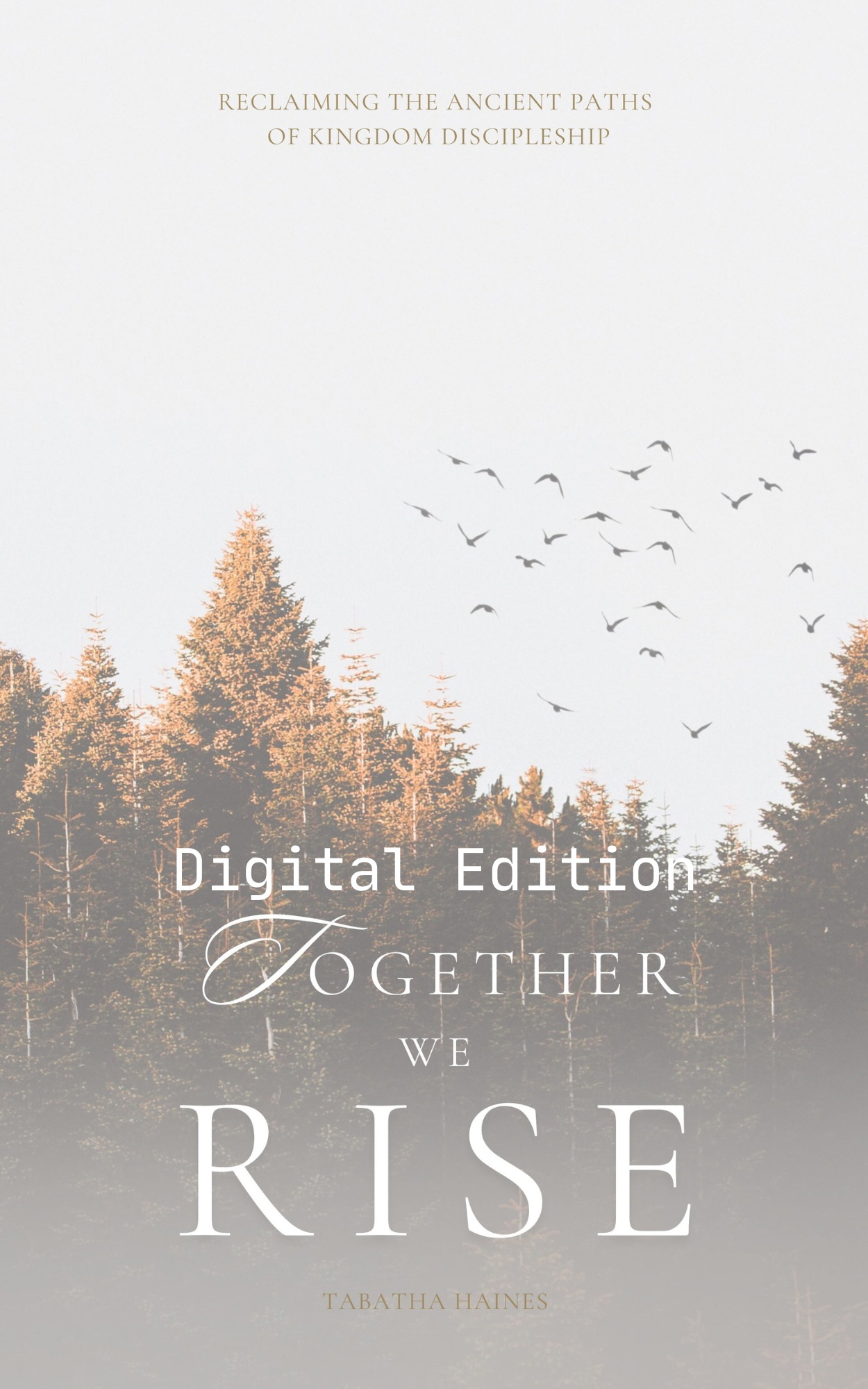 Together We Rise: Reclaiming the Ancient Paths of Kingdom Discipleship • Digital Download